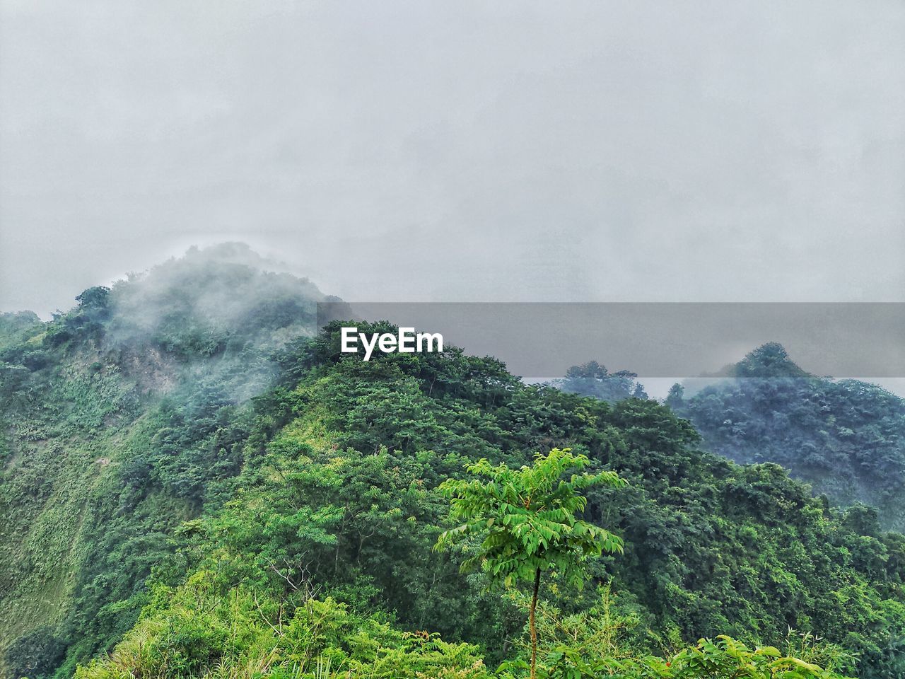 SCENIC VIEW OF TREE MOUNTAINS AGAINST SKY