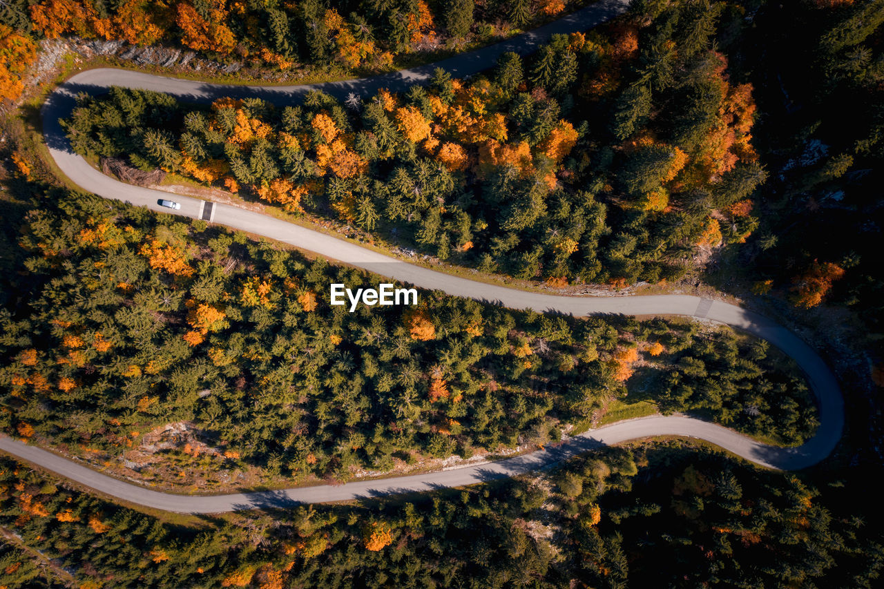 Aerial top down image of car driving on road winding through colorful forest.