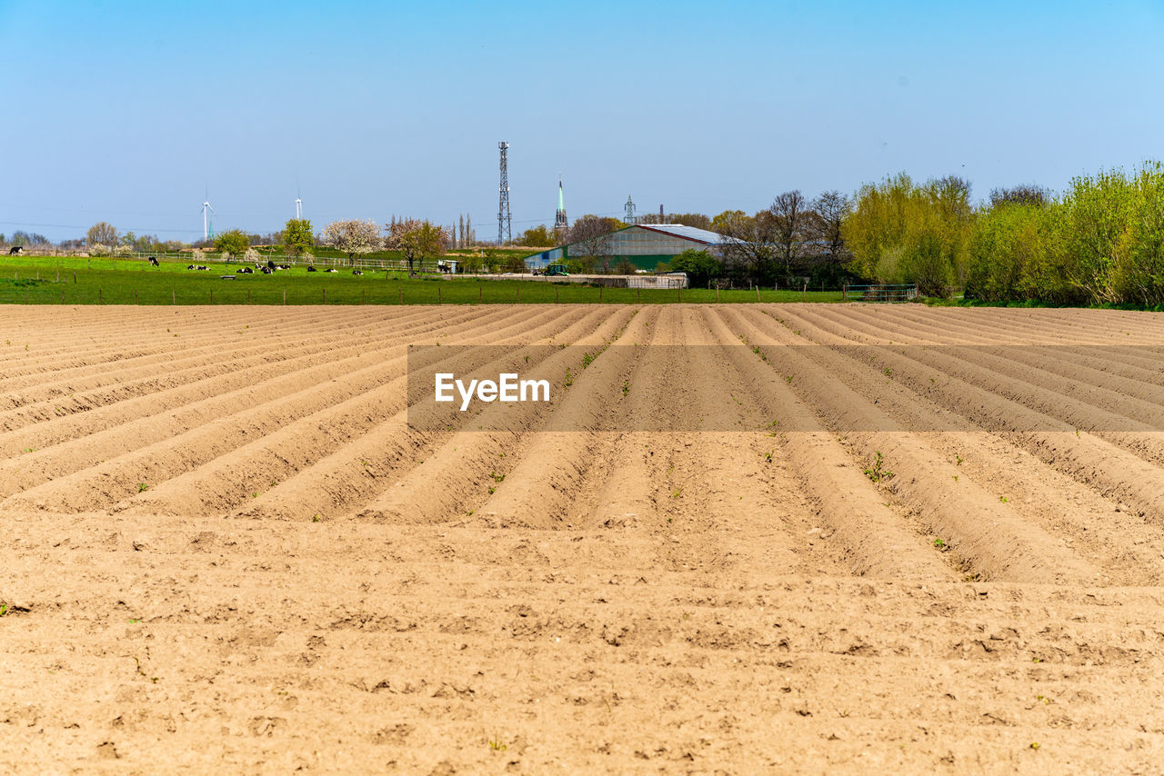 FIELD AGAINST SKY