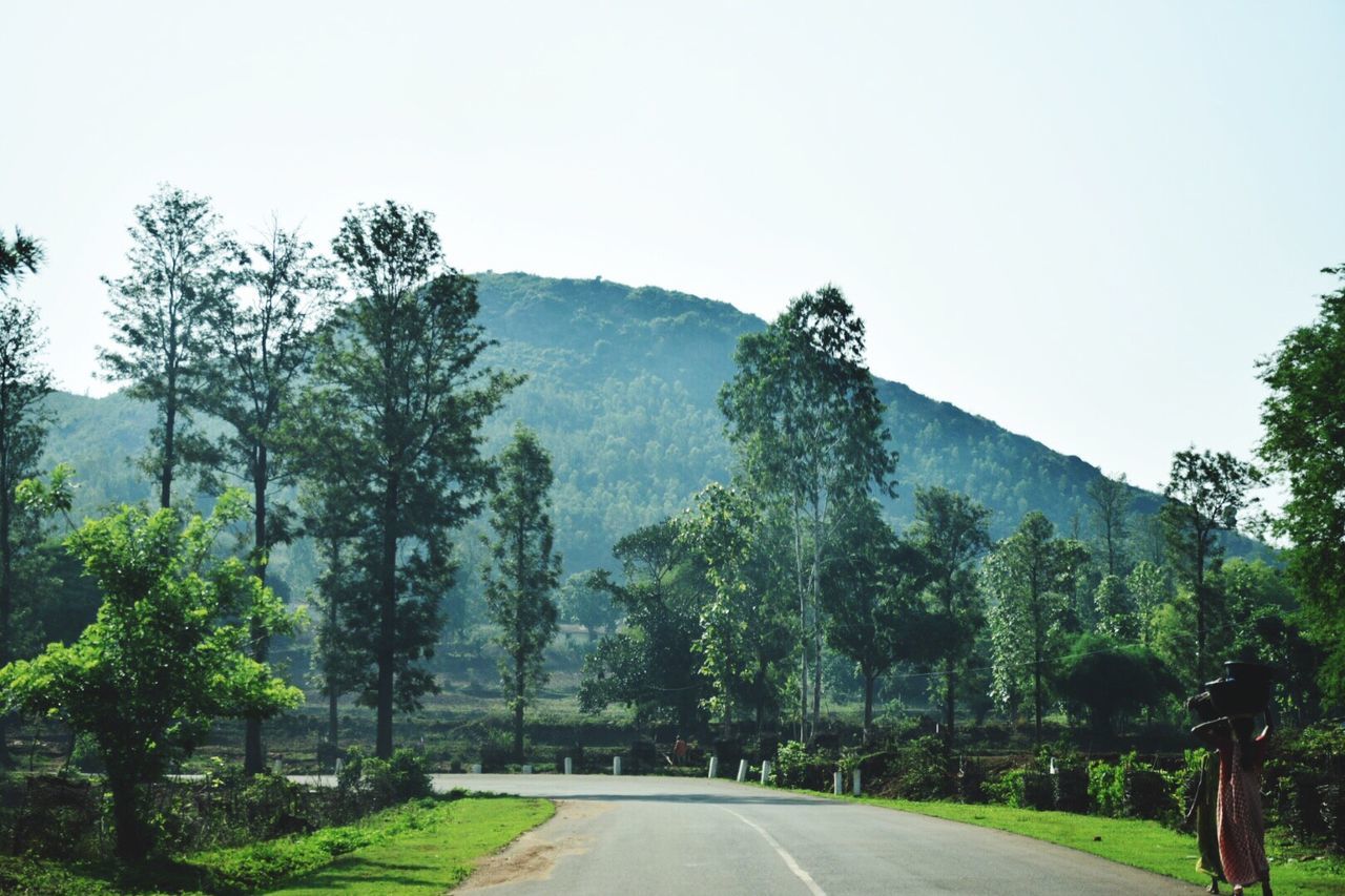 ROAD BY TREES AGAINST SKY