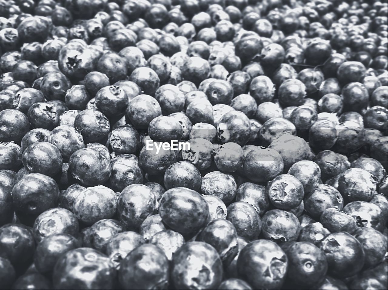 FULL FRAME SHOT OF BLUEBERRIES