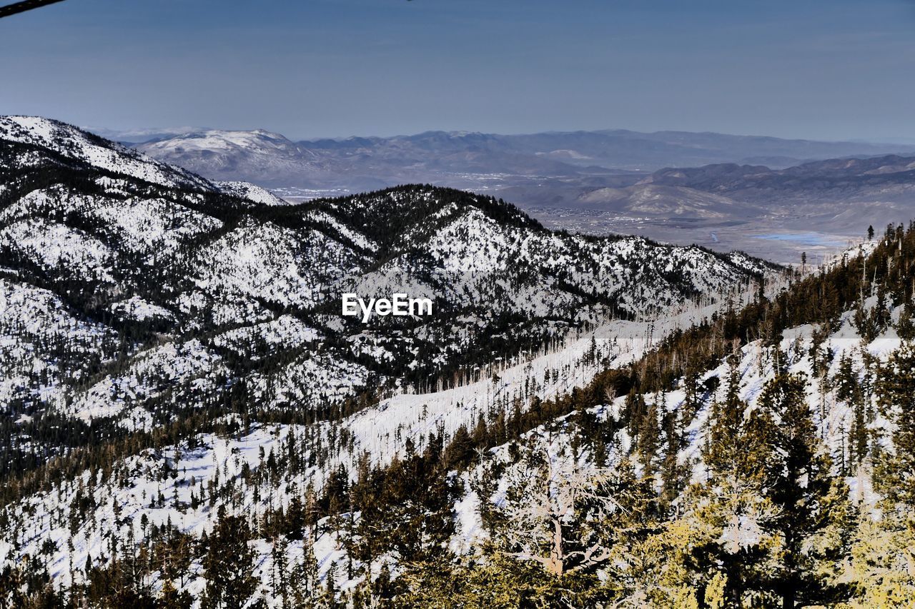 TREES ON SNOWCAPPED MOUNTAINS AGAINST SKY