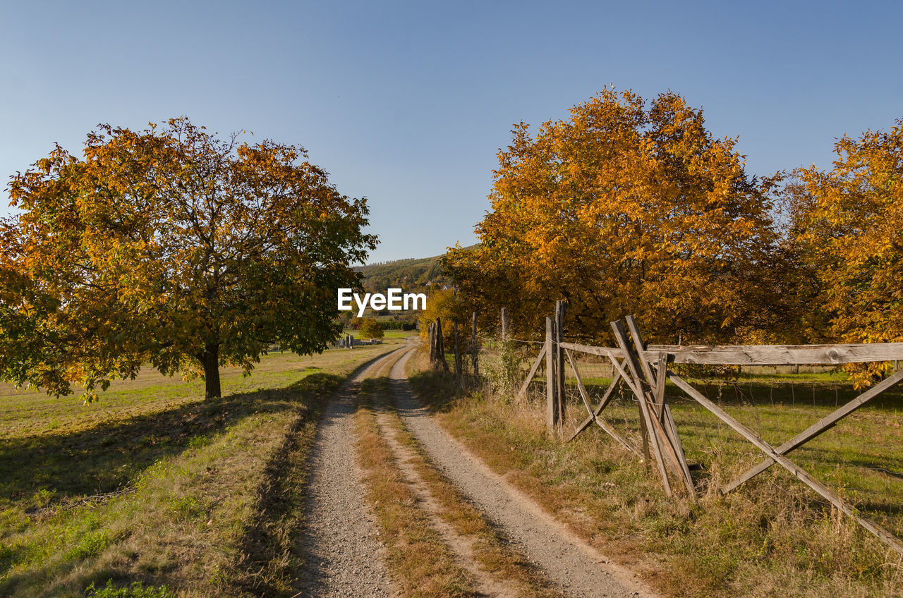 Road amidst trees against sky during autumn