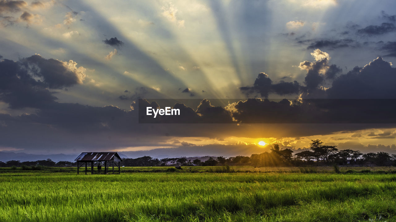 Scenic view of field against sky during sunset