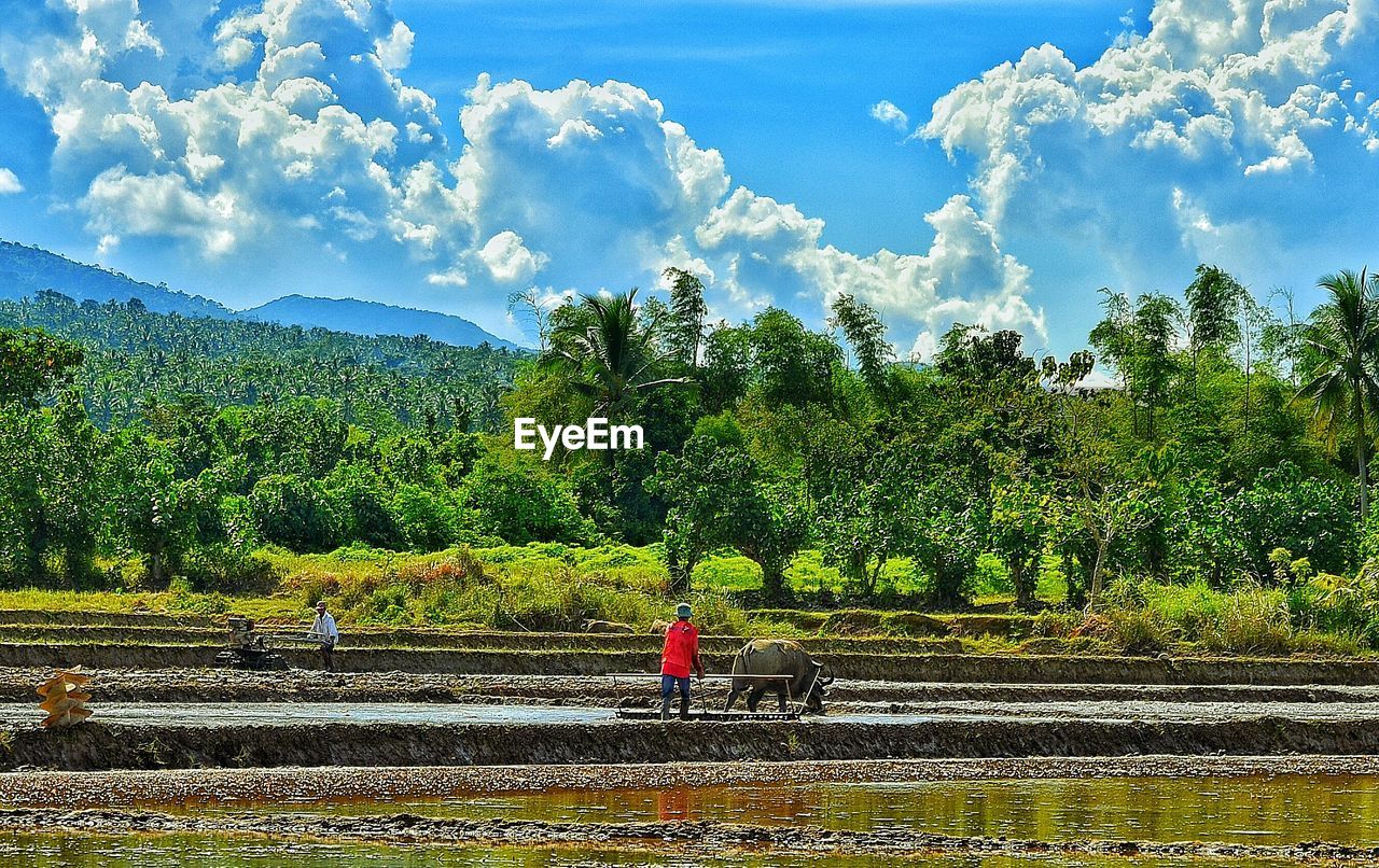 SCENIC VIEW OF MOUNTAIN ROAD