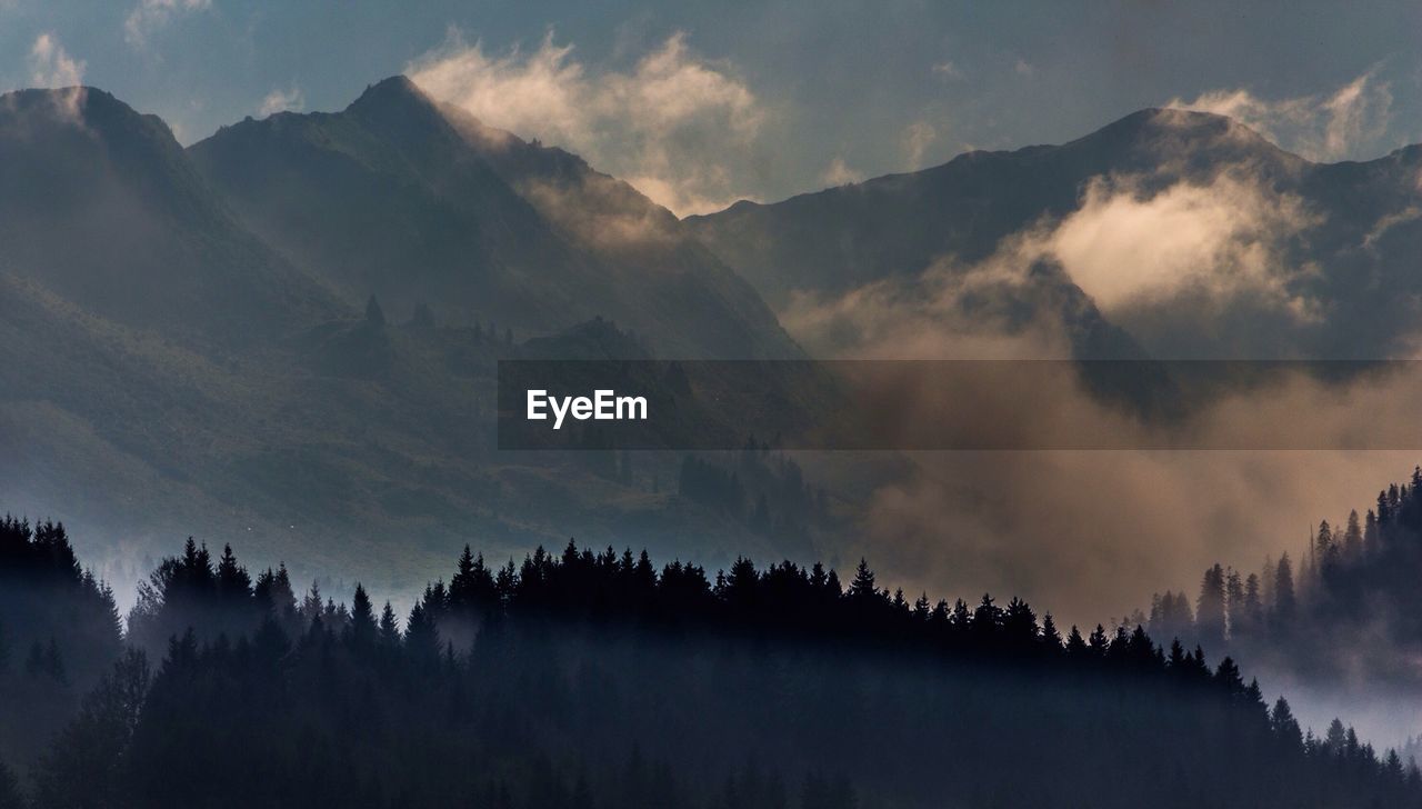 Scenic view of trees and mountains surrounded by fog