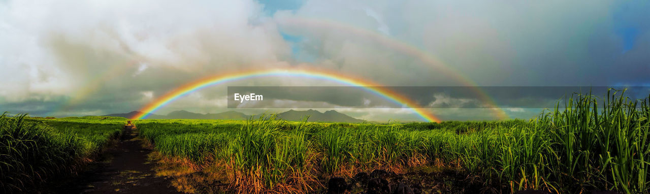 Scenic view of rainbow over grassy field