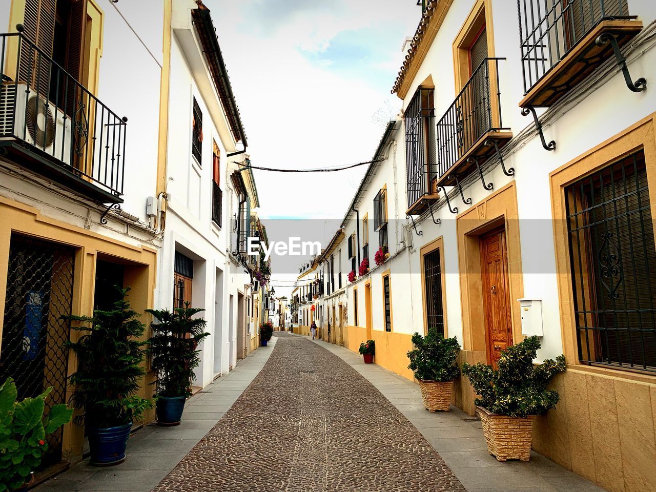 Narrow alley amidst residential buildings