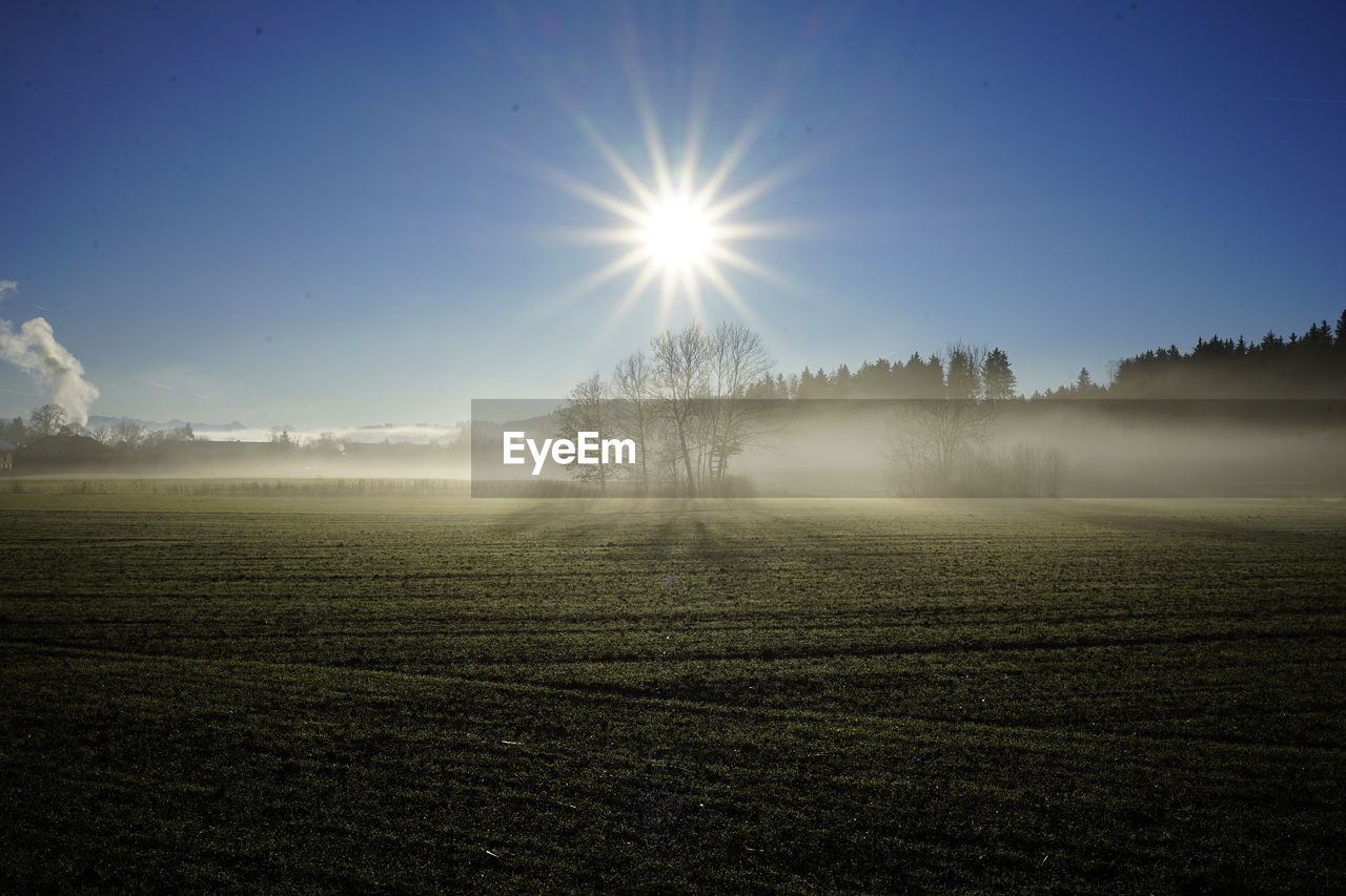 horizon, sunlight, morning, sky, dawn, environment, landscape, sunrise, nature, land, scenics - nature, plant, beauty in nature, sun, mist, fog, tranquility, field, tranquil scene, light, rural scene, cloud, tree, sunbeam, no people, grass, lens flare, agriculture, idyllic, outdoors, blue, non-urban scene, reflection, forest, twilight, meadow, day