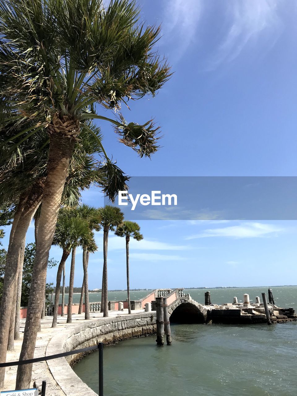 VIEW OF PALM TREES BY SEA