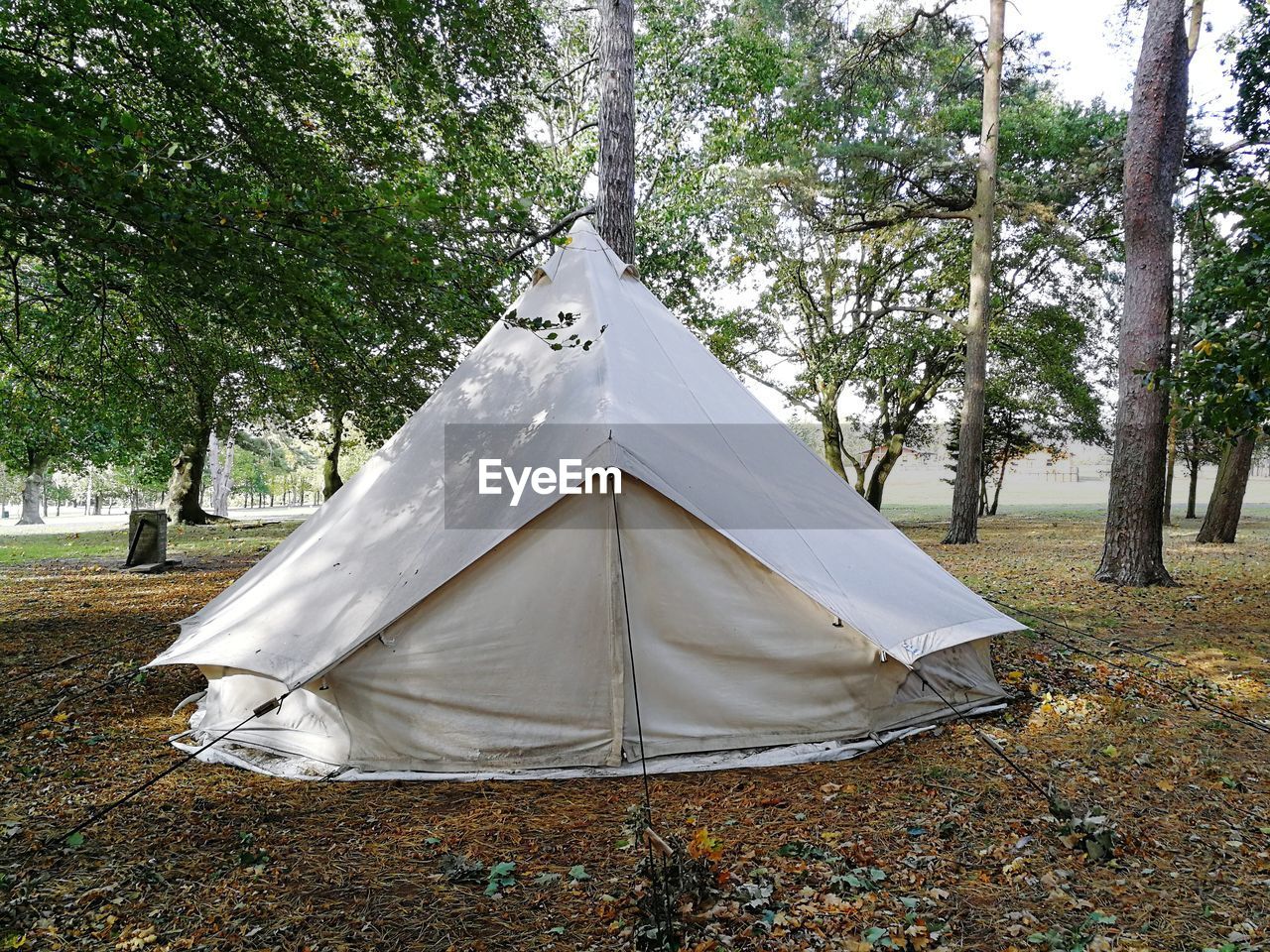 TENT IN PARK