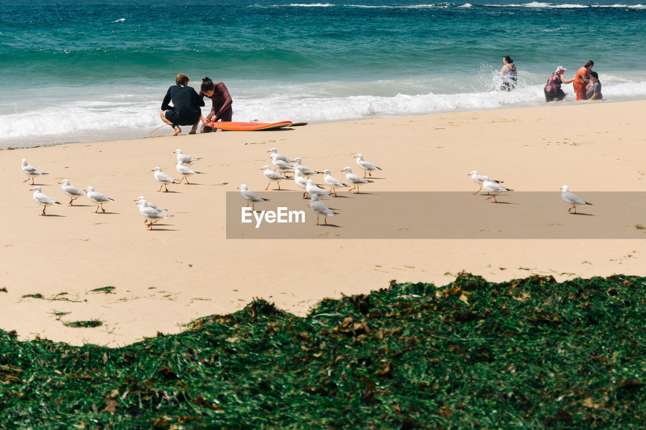 PEOPLE ENJOYING ON BEACH