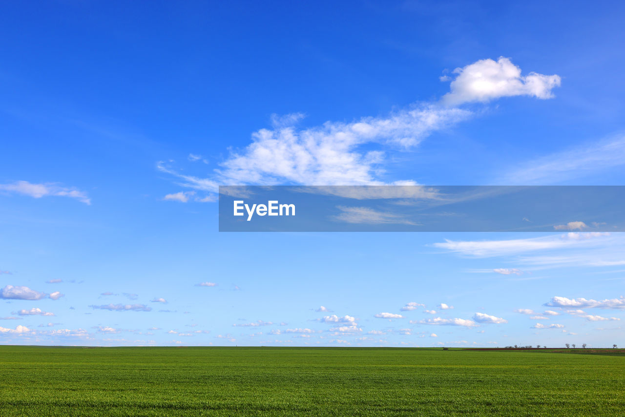 sky, horizon, environment, grassland, plain, field, blue, landscape, grass, cloud, nature, prairie, meadow, plant, land, sunlight, environmental conservation, beauty in nature, agriculture, green, rural scene, horizon over land, scenics - nature, day, no people, power generation, tranquility, outdoors, rural area, tranquil scene, steppe, natural environment, pasture, copy space, farm, growth, renewable energy, wind