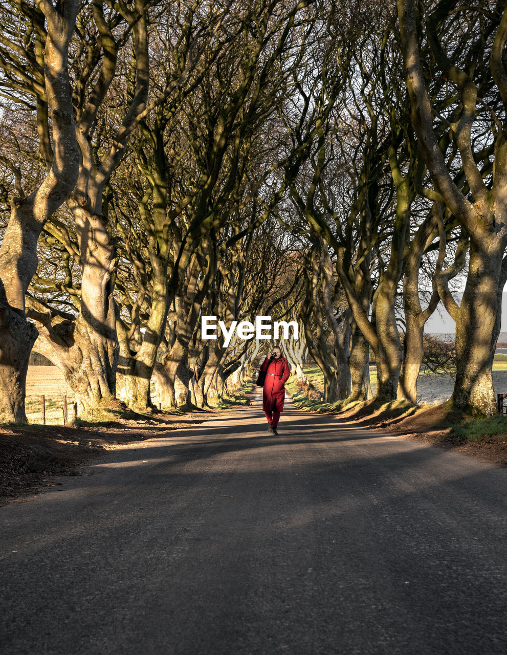 Man walking on road amidst trees