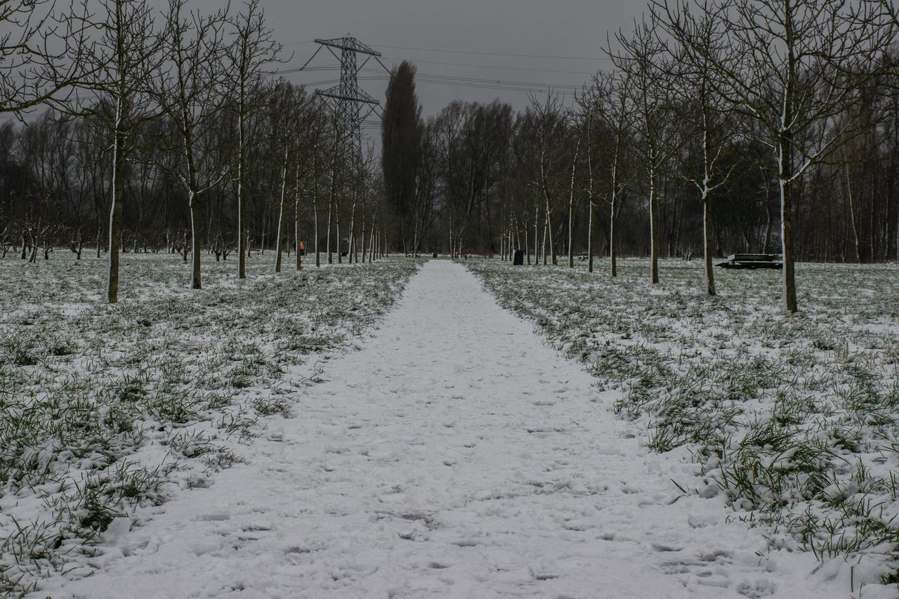 SCENIC VIEW OF SNOW COVERED LANDSCAPE AGAINST SKY