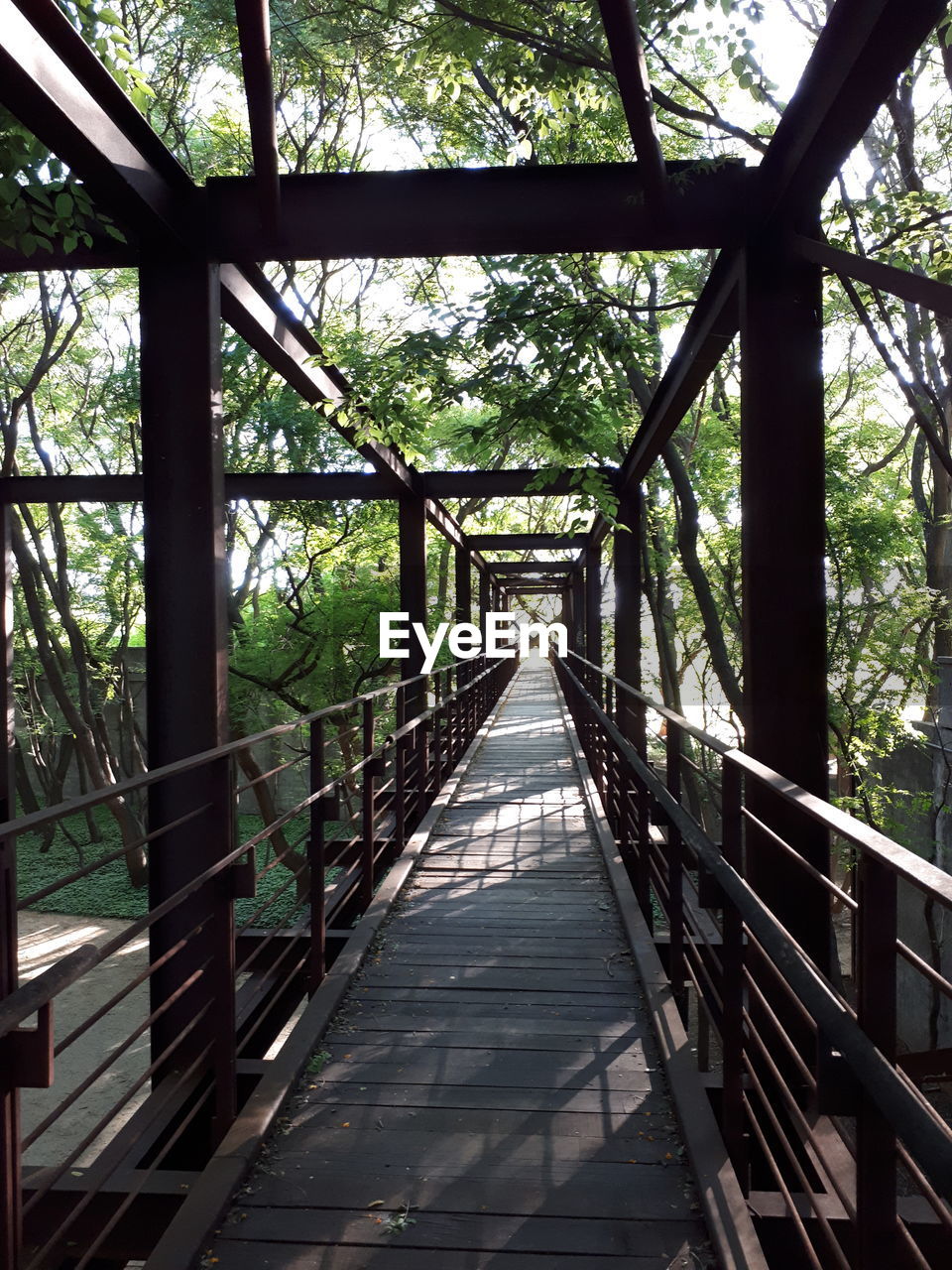 FOOTBRIDGE OVER FOREST