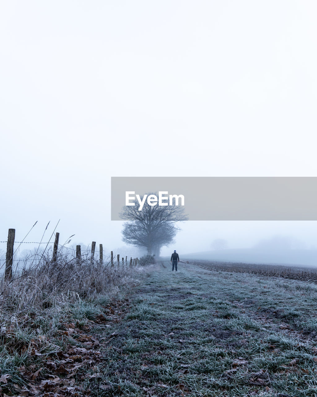 Distant rear view of man standing in field against sky