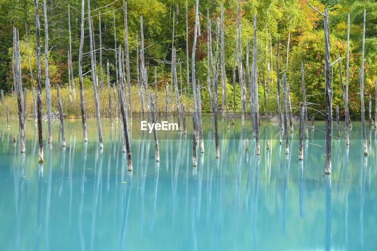 SCENIC VIEW OF LAKE