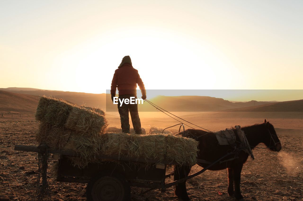 Man standing on horse cart against sky at sunset