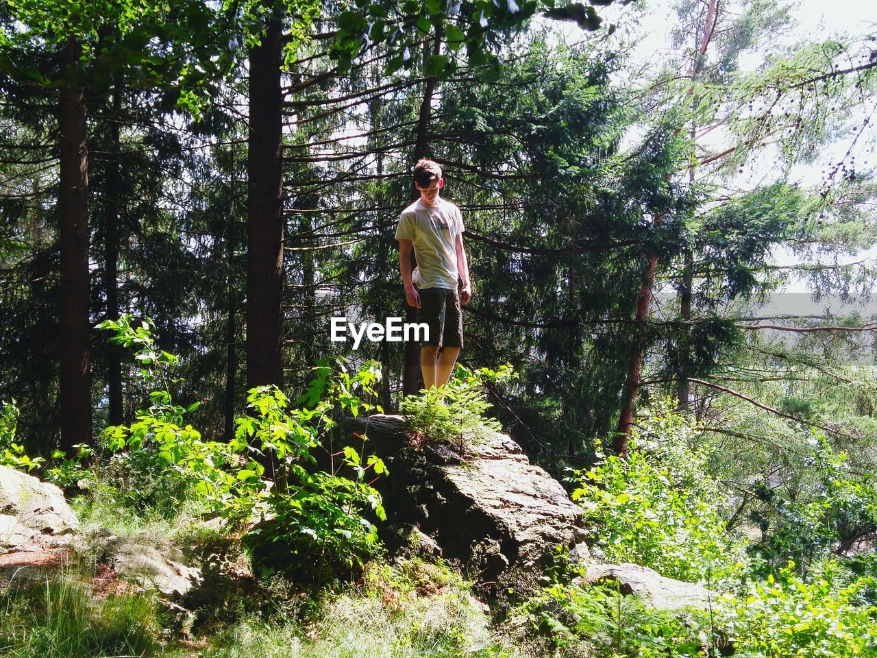 WOMAN STANDING IN FOREST