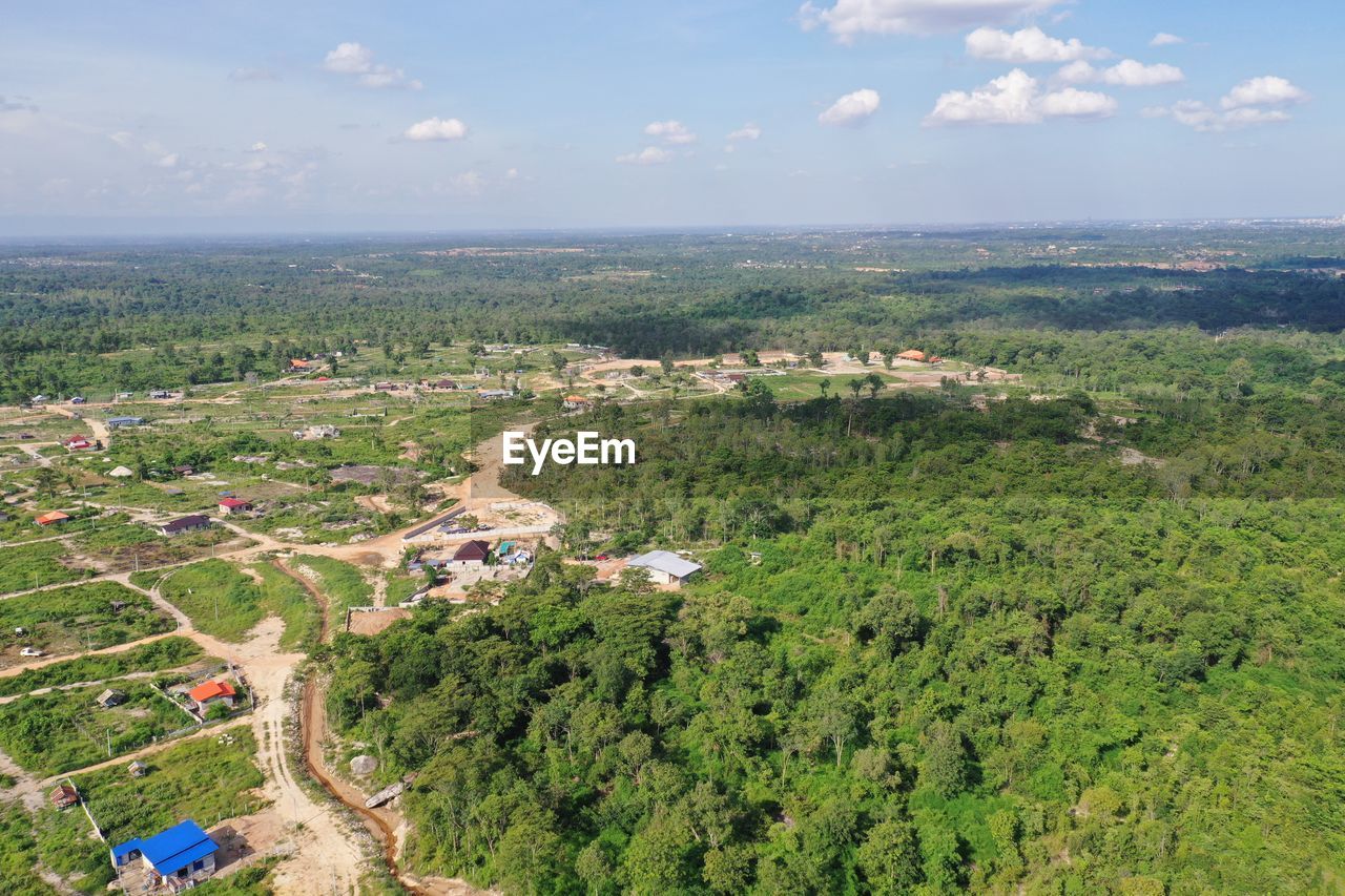 HIGH ANGLE VIEW OF TREES AGAINST SKY