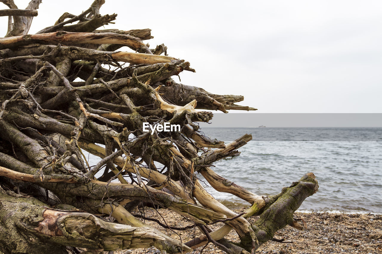 DRIFTWOOD ON BEACH AGAINST SKY