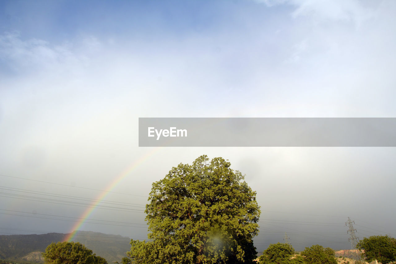 rainbow, sky, tree, plant, cloud, sunlight, beauty in nature, nature, horizon, morning, environment, scenics - nature, tranquility, landscape, no people, tranquil scene, outdoors, land, hill, dusk, idyllic, non-urban scene, day, growth, green, multi colored, rural area, fog, forest, sunbeam, sun