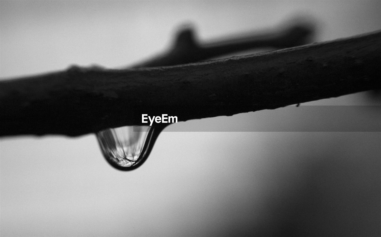 Close-up of water drop on twig against sky