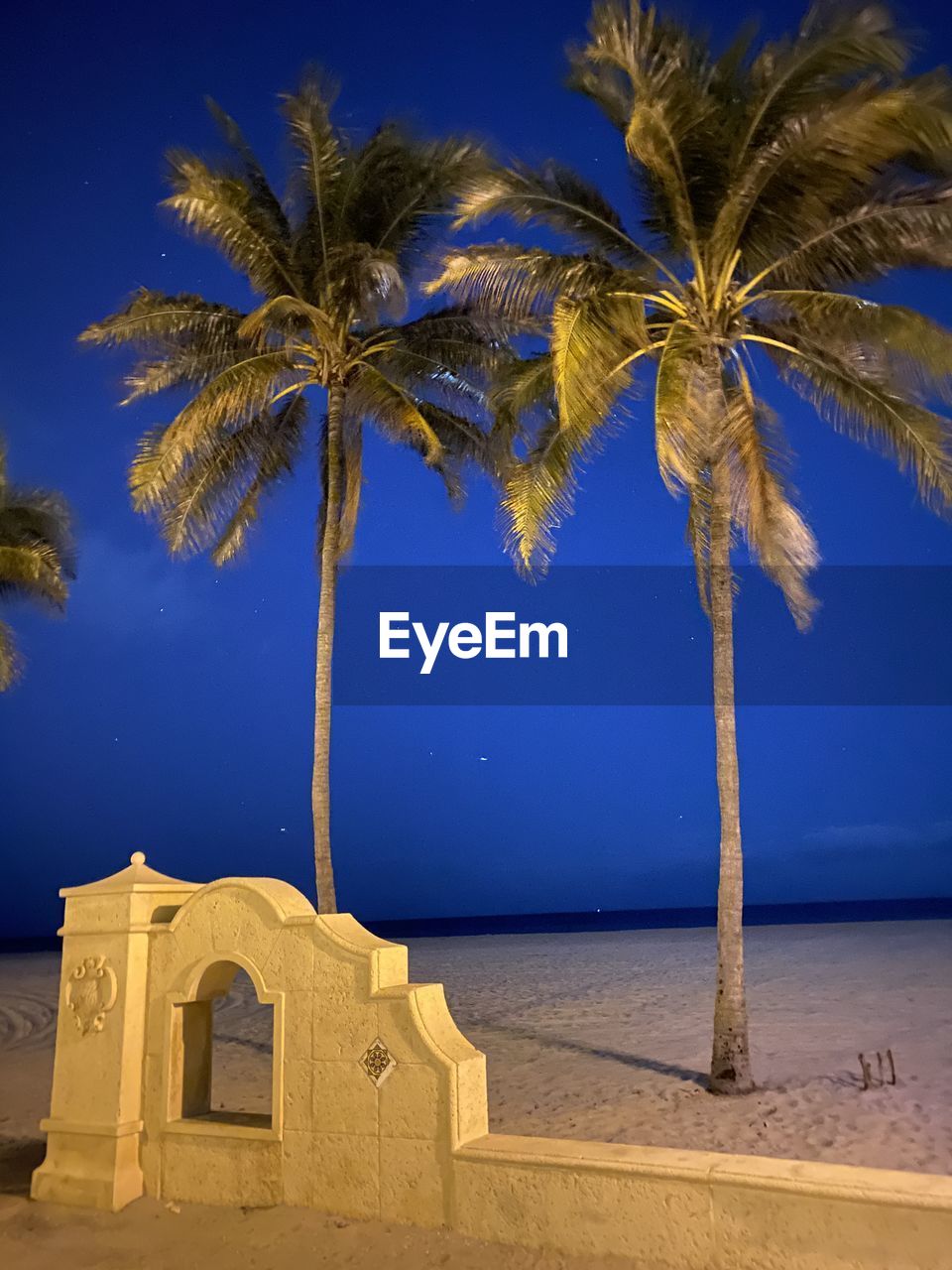 Low angle view of palm trees against blue sky