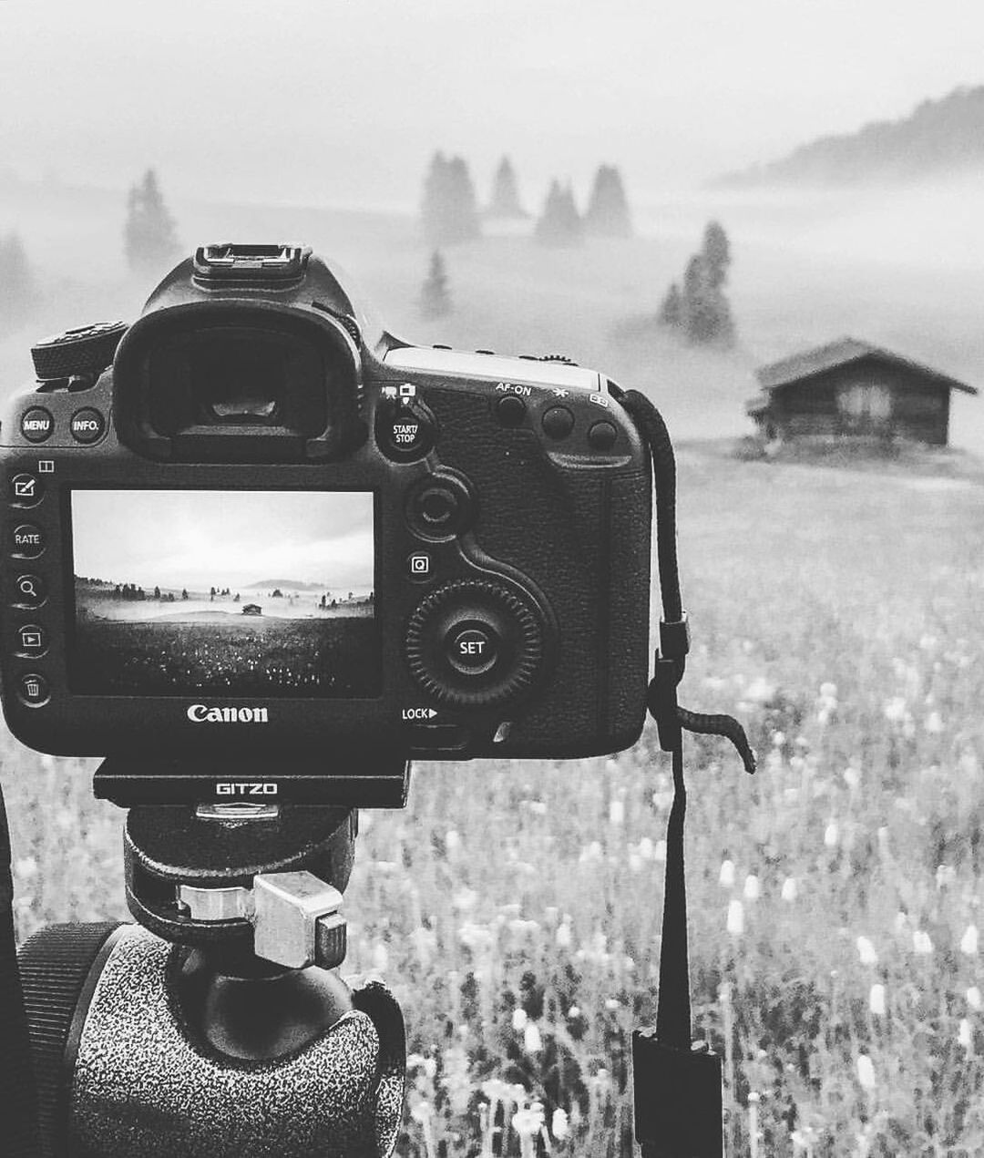 DIGITAL COMPOSITE IMAGE OF YOUNG WOMAN PHOTOGRAPHING FIELD