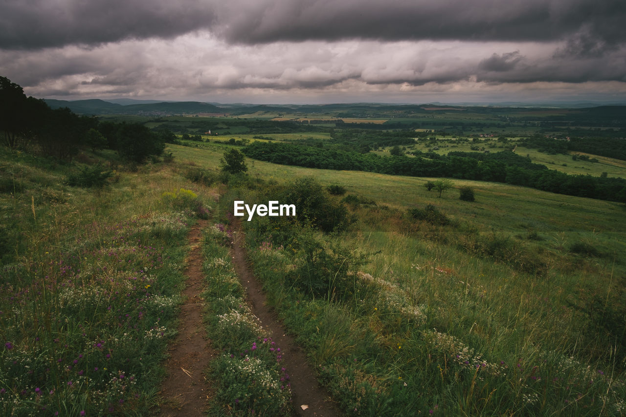 SCENIC VIEW OF LAND