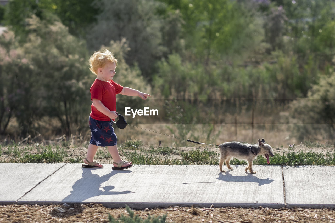 Side view of cute baby boy pointing while walking with puppy on footpath in park