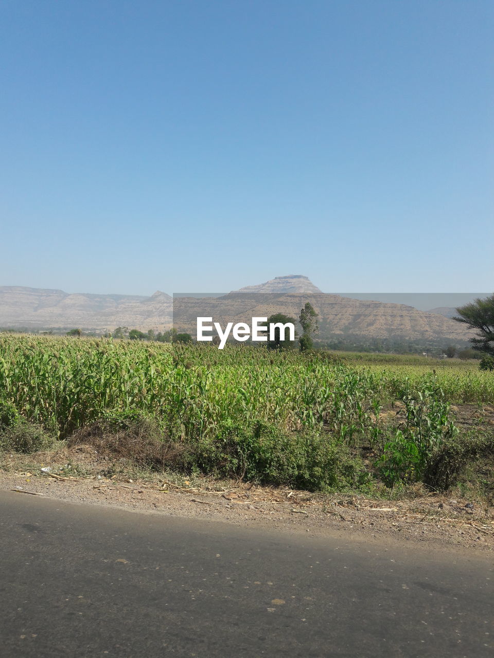 SCENIC VIEW OF LAND AGAINST CLEAR SKY