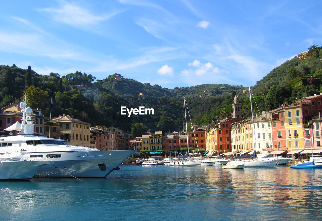 Boats in harbour with buildings in background