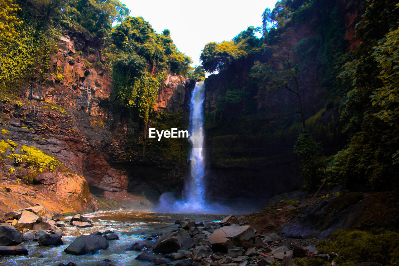 WATERFALL IN FOREST