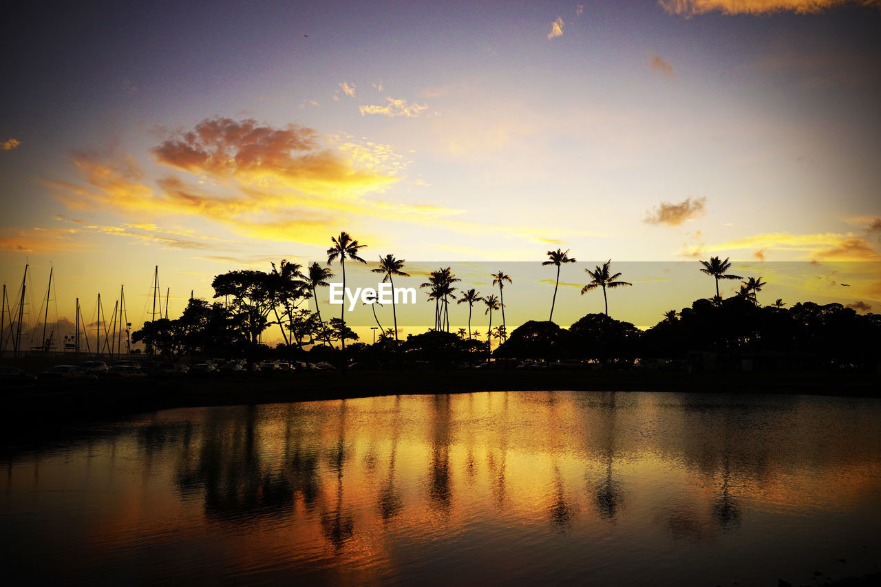 SCENIC VIEW OF SILHOUETTE TREES AGAINST SKY DURING SUNSET