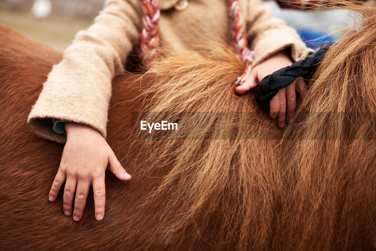 Unrecognizable girl petting chestnut pony