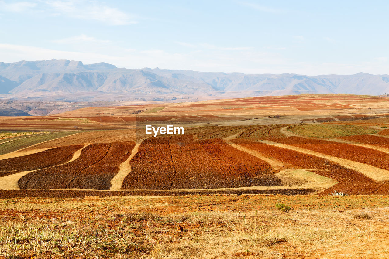 SCENIC VIEW OF LAND AGAINST SKY