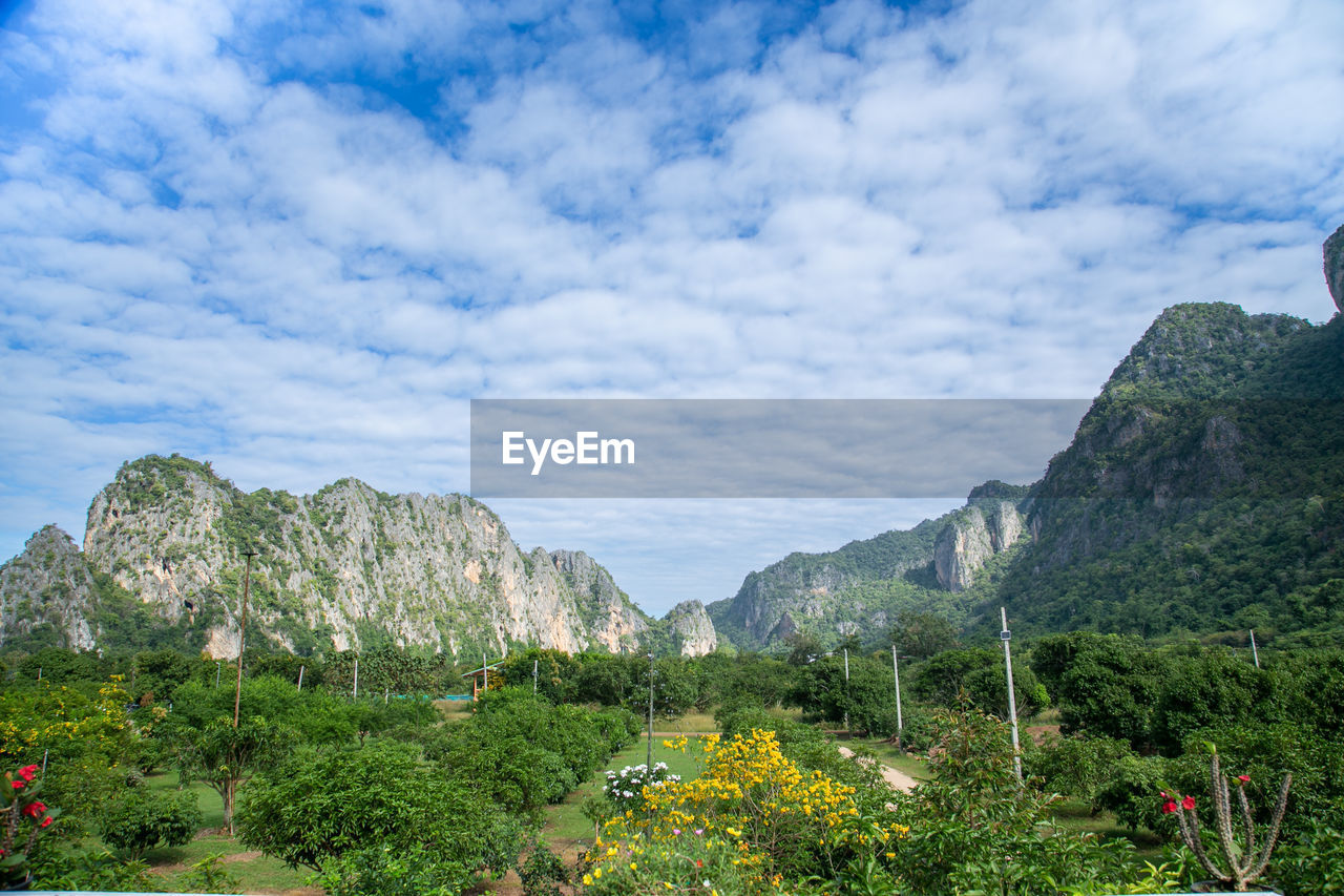 sky, mountain, plant, cloud, scenics - nature, nature, beauty in nature, environment, landscape, tree, land, mountain range, valley, no people, travel destinations, travel, flower, tranquility, outdoors, rock, tranquil scene, non-urban scene, day, tourism, green, growth, rural area, blue, plateau, architecture, forest