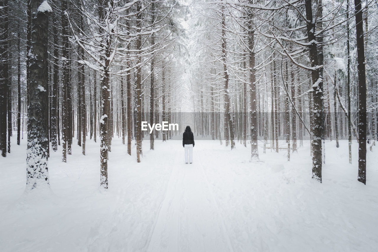 Rear view of person in snowy forest in winter