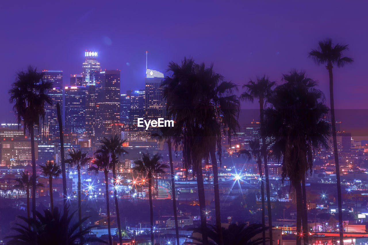 PALM TREES AND BUILDINGS AGAINST SKY