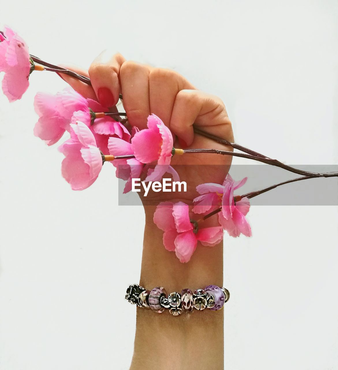 CLOSE-UP OF WOMAN HAND HOLDING PINK FLOWERS AGAINST WHITE BACKGROUND