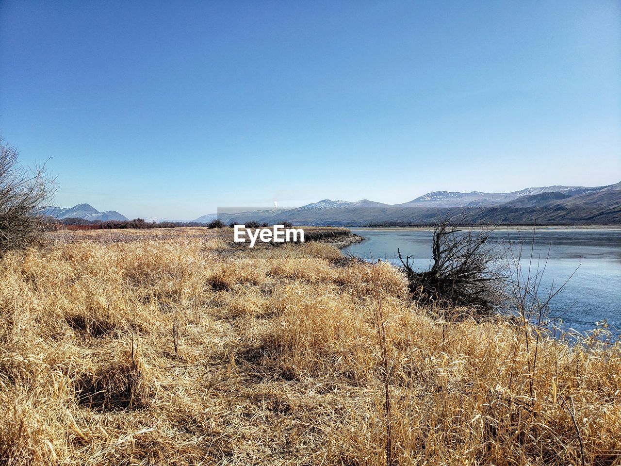 Scenic view of lake against clear sky