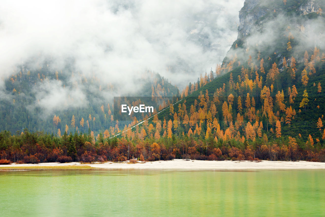 Scenic view of lake by trees against sky