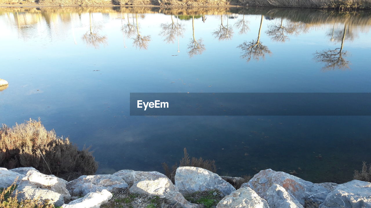 REFLECTION OF TREES IN LAKE