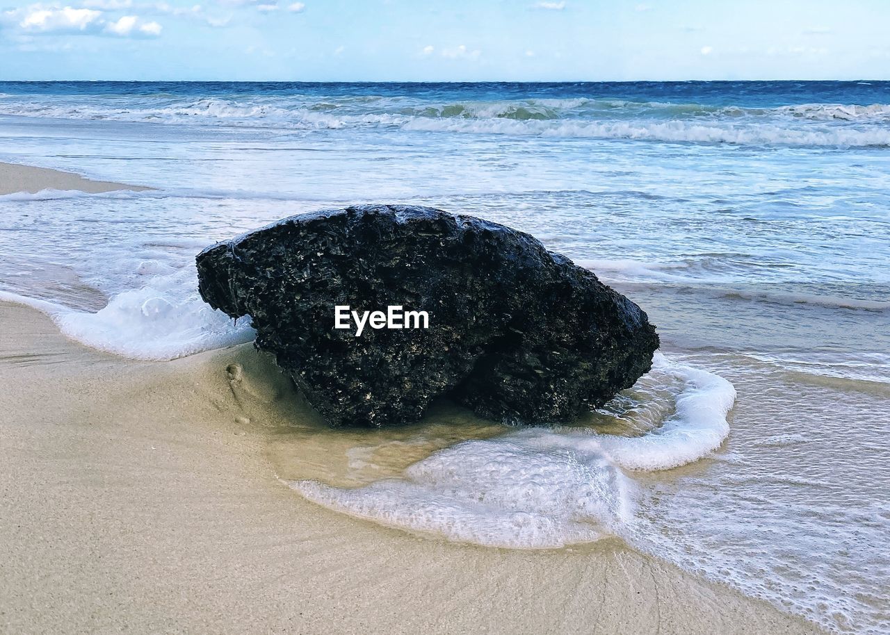 Scenic view of sea shore against sky