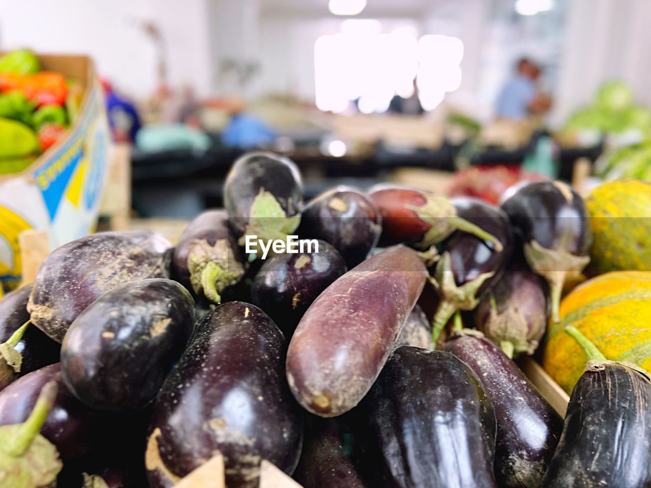 food, food and drink, healthy eating, mussel, freshness, wellbeing, vegetable, eggplant, produce, market, fruit, focus on foreground, abundance, no people, business finance and industry, business, retail, large group of objects, indoors, close-up, organic, market stall, plant