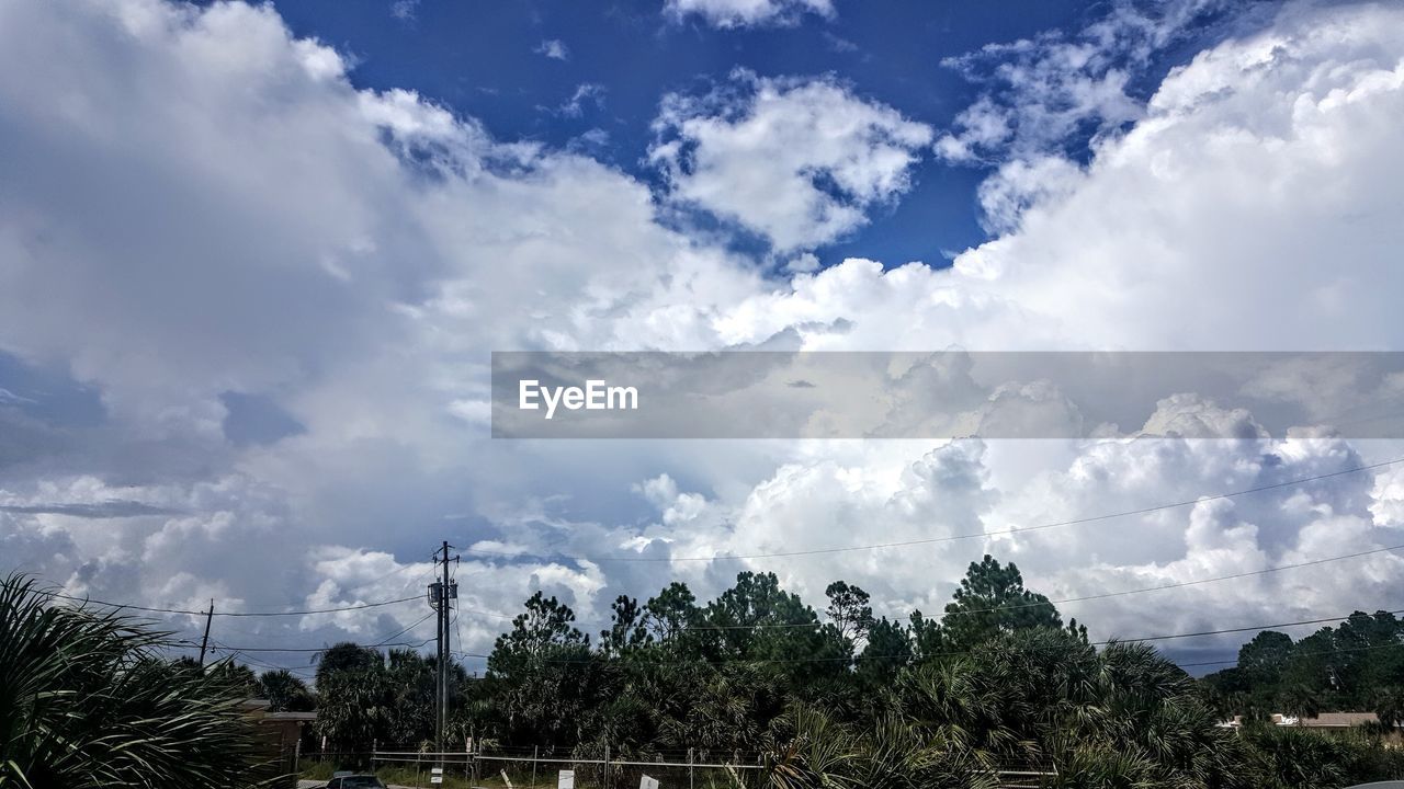 PANORAMIC VIEW OF SKY AND TREES AGAINST CLOUDY BLUE