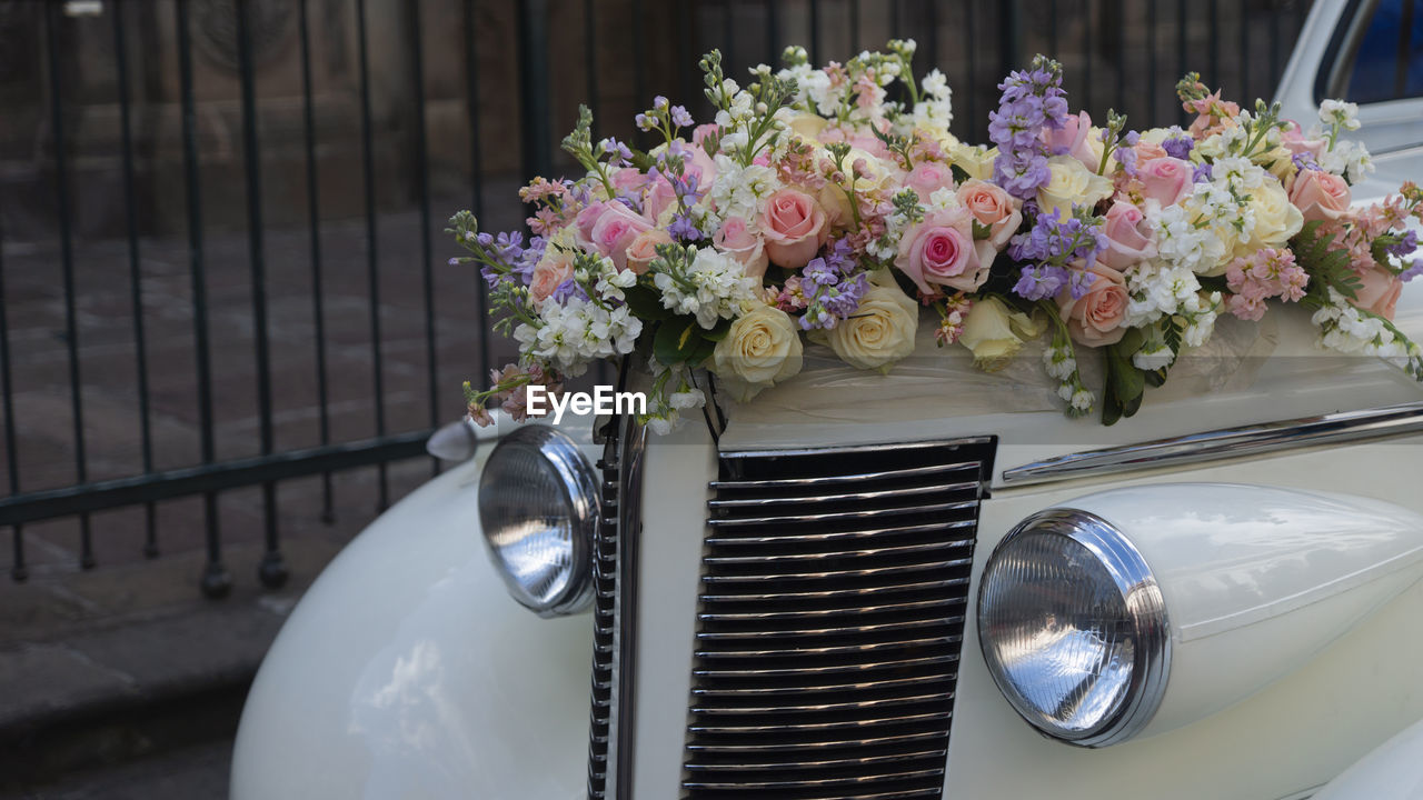 Arrangement of red and yellow roses on the hood of an old white car