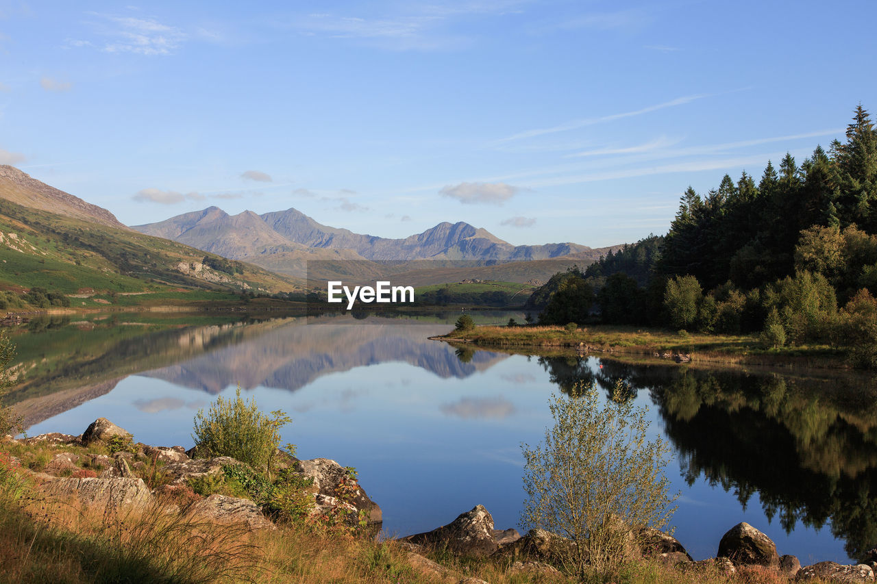 SCENIC VIEW OF LAKE BY TREES AGAINST SKY